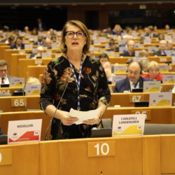 Ulrika Landergren debating the Green Deal