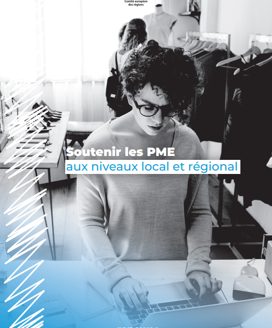Nouvelle publication en français : Soutenir les PME aux niveaux local et régional